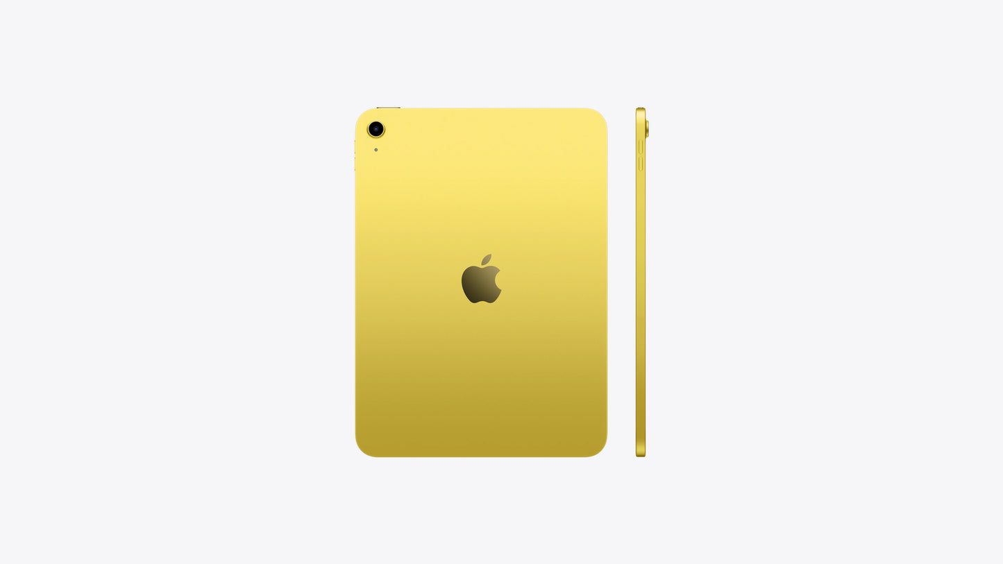 iPad