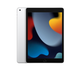 Apple iPad 10.2-inch (9th Gen) Wi-Fi 256GB